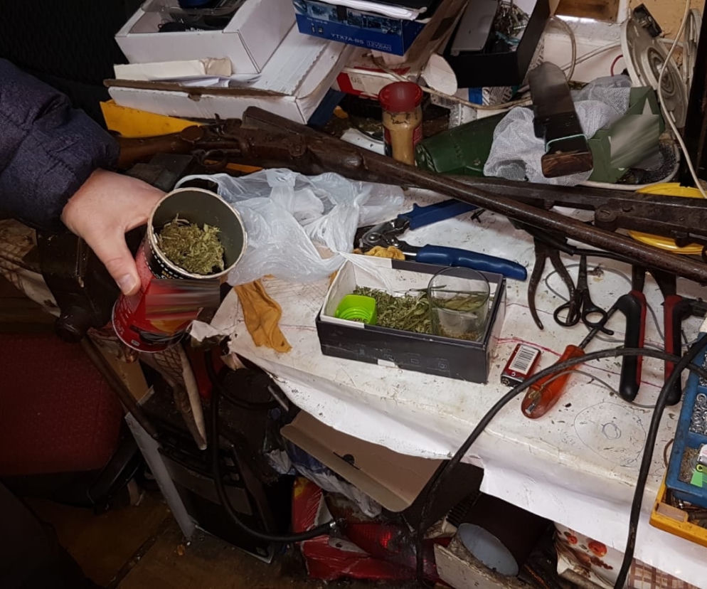 Gródek. Pijany i pod wpływem narkotyków uderzył w drzewo. W domu miał marihuanę i granaty