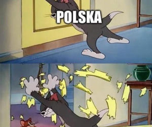 Internet zalała fala bezlitosnych memów