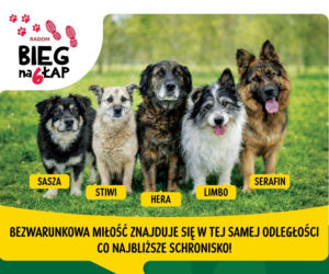 Będzie można połączyć przyjemne z pożytecznym. Przed nami ogólnopolska akcja Bieg na 6 łap