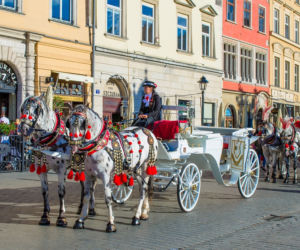 6. Kraków