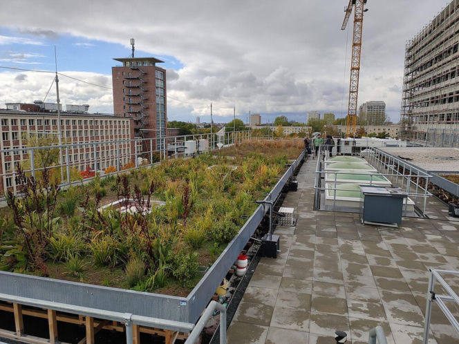 Dach magazynujący wodę