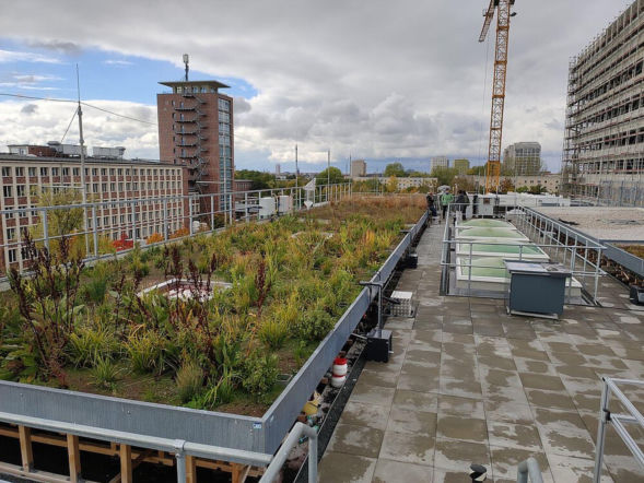 Dach magazynujący wodę