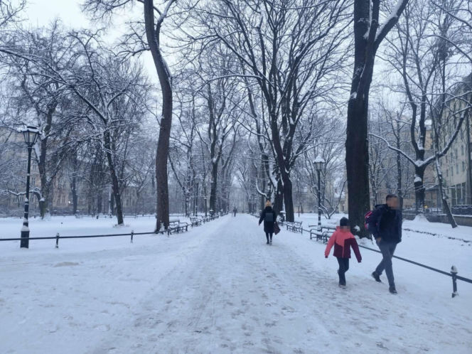 Potężny atak zimy w Krakowie! Śnieg nie odpuści, synoptycy nie mają dobrych informacji