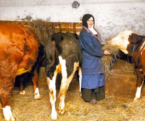 Ratujcie moje pingwinki