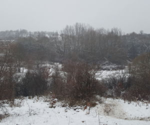 Zima na Górkach Fordońskich