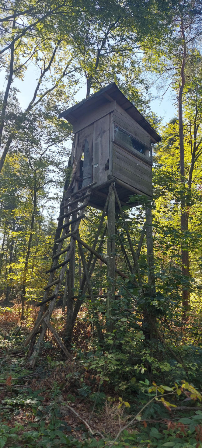 52. Rajd Miłośników Roztocza