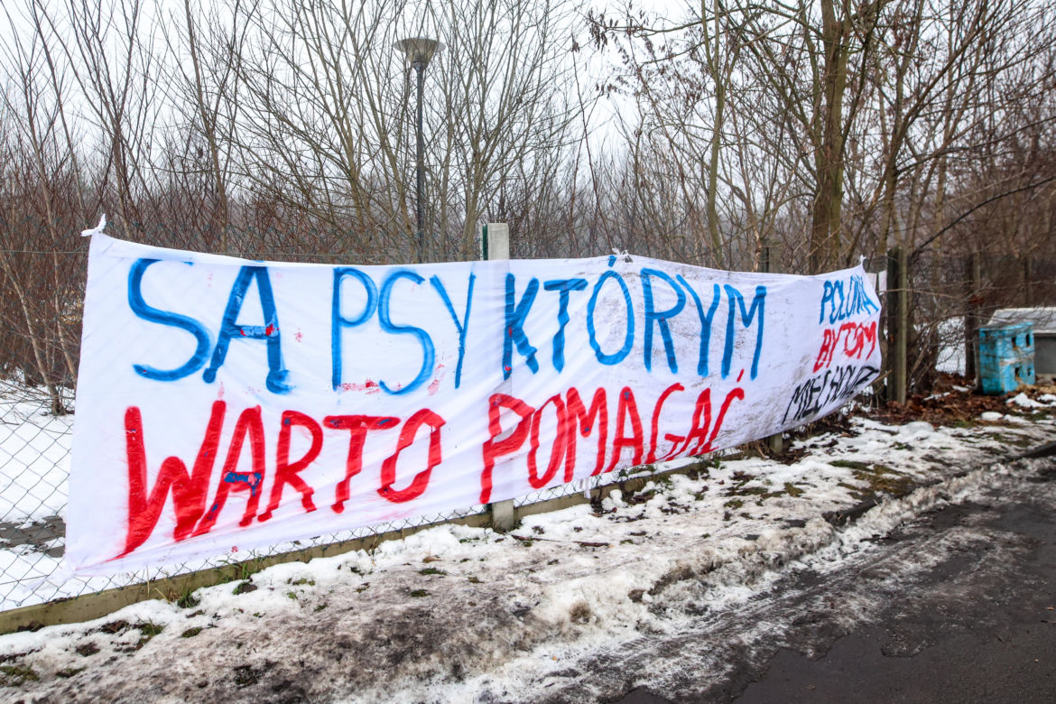 Miał być protest milczenia, doszło do awantury. Gorąco pod schroniskiem w Bytomiu