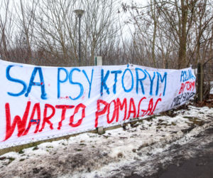Miał być protest milczenia, doszło do awantury. Gorąco pod schroniskiem w Bytomiu