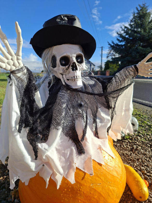 Oto najbardziej halloweenowy dom w Świętokrzyskiem!