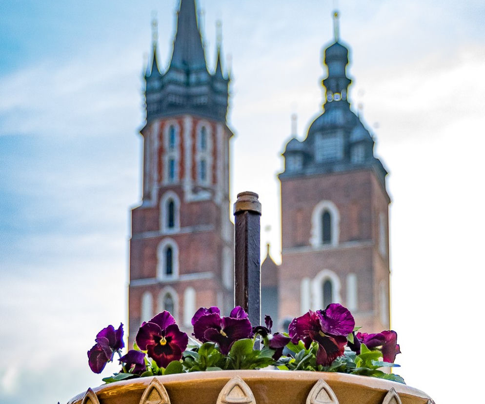 Zdjęcie dnia