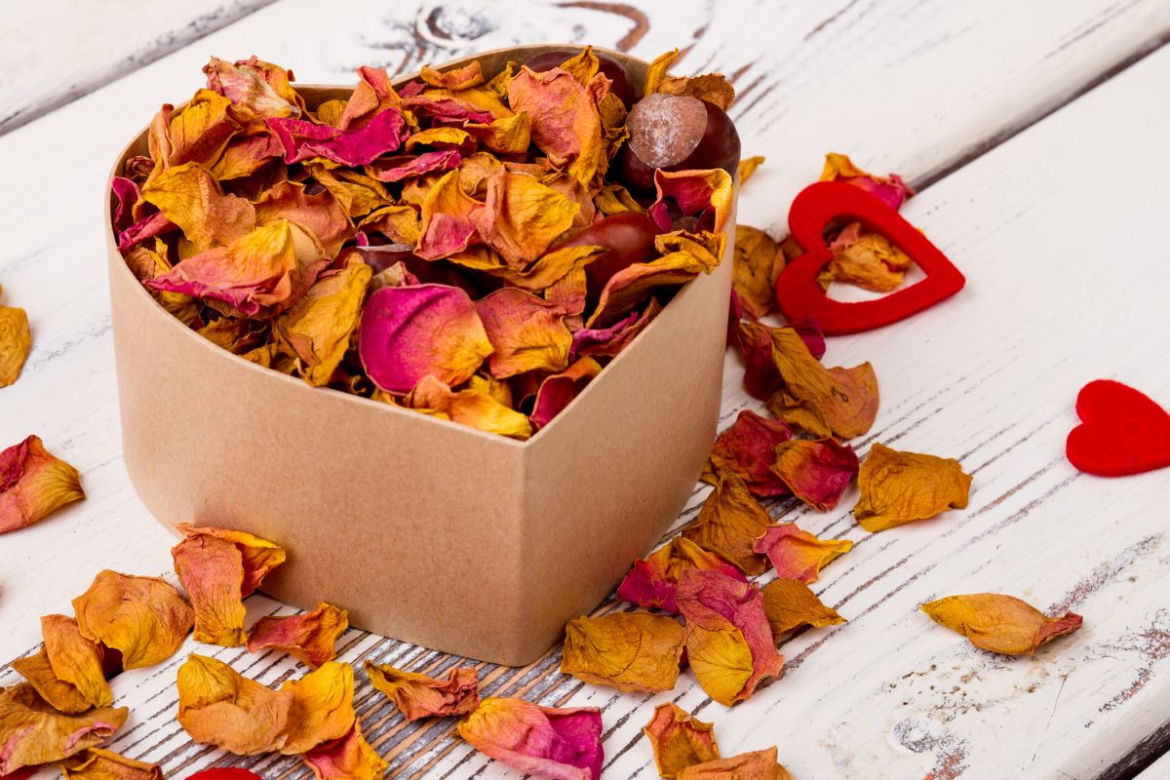 Potpourri