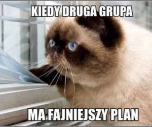 Memy na rozpoczęcie roku akademickiego! Studenci płaczą ze śmiechu [1.10.2021]