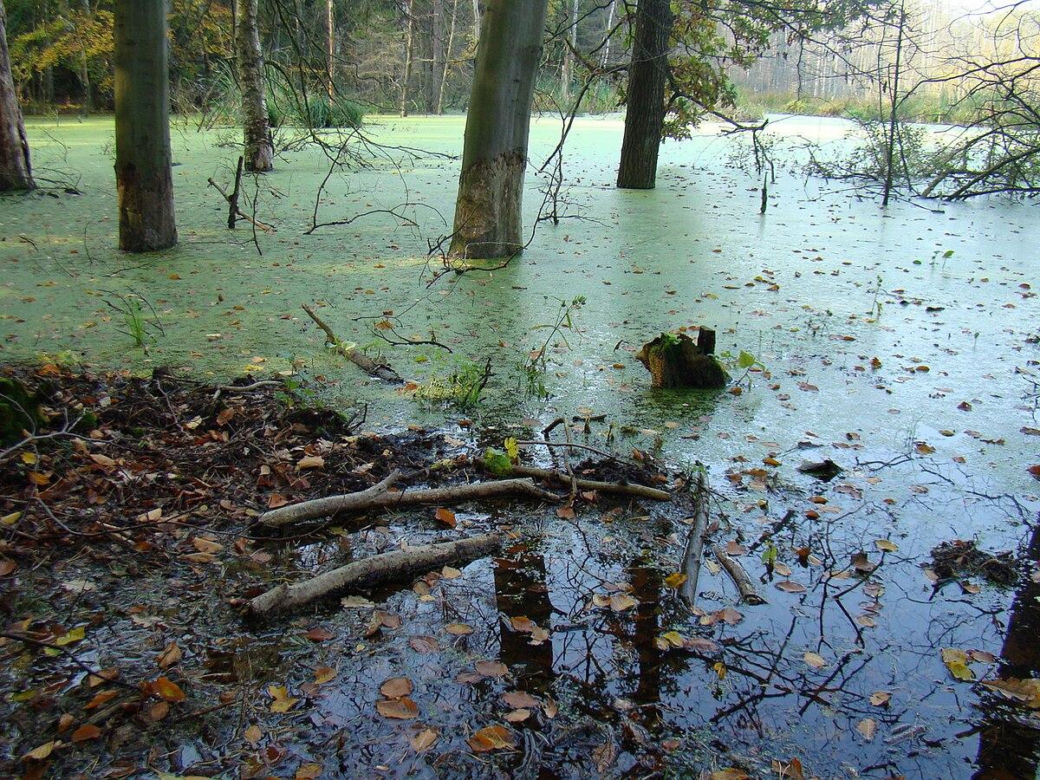 Iński Park Krajobrazowy