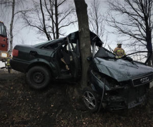 Zawinął się na drzewie starym Audi