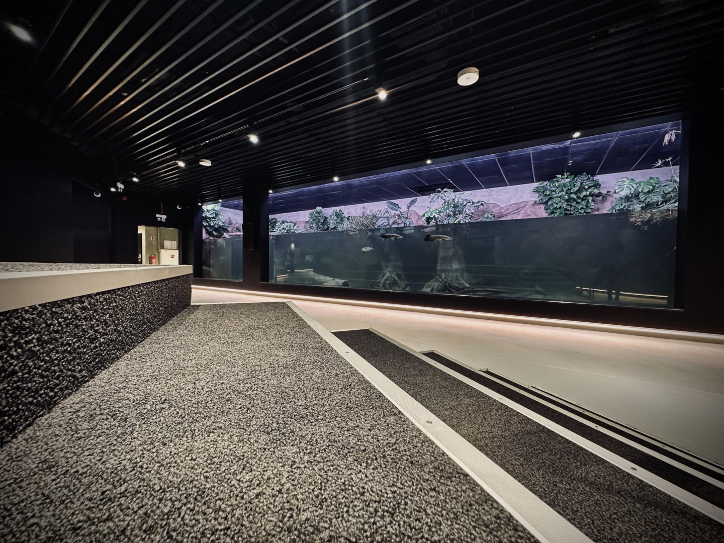 Egzotarium w Sosnowcu