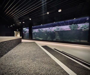 Egzotarium w Sosnowcu