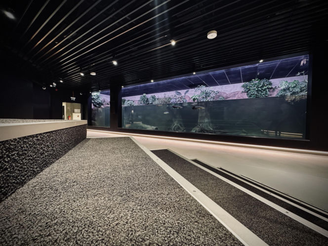 Egzotarium w Sosnowcu