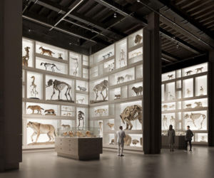 Centrum Zbiorów Węgierskiego Muzeum Historii Naturalnej w Debreczynie