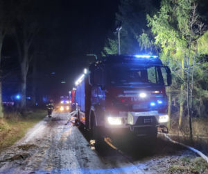 Straciła dom. Życie zawdzięcza czujności zwierząt