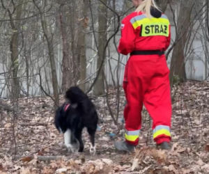 Na dobre i na złe nowy sezon na planie. Poszukiwania Niny