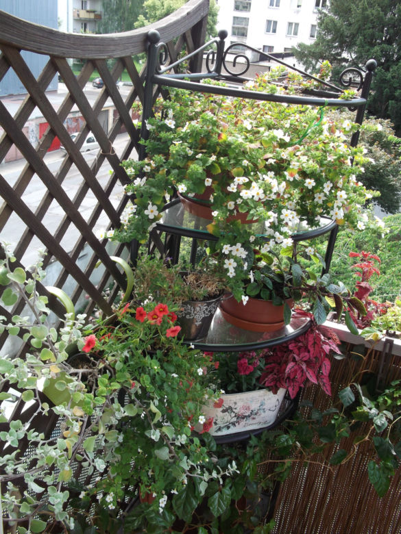 Mały balkon w wielkim mieście zdjecie nr 11