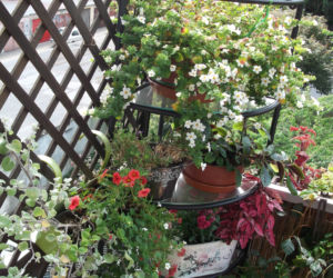 Mały balkon w wielkim mieście zdjecie nr 11