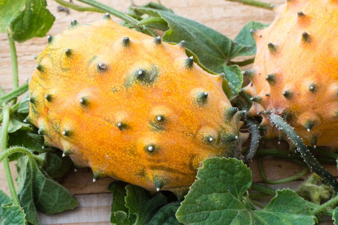 Kiwano