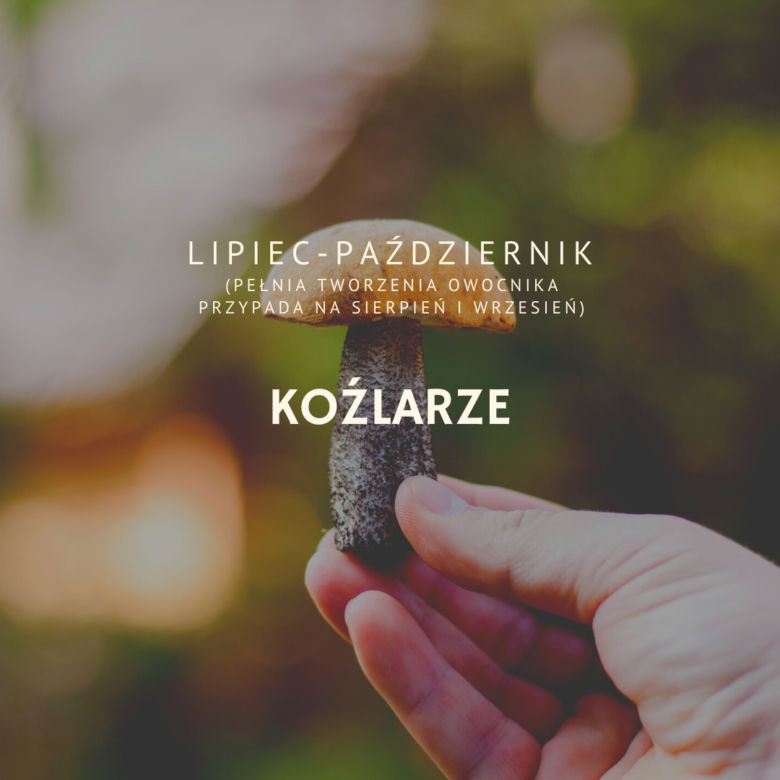 Koźlarze