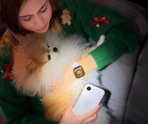 Apple Prezentownik 2025