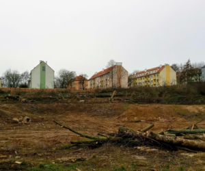 Przy ulicy Janosika wycięto dziesiątki drzew