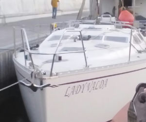 Tak nazywają się jachty i łodzie w gdyńskiej marinie