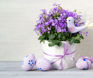 ThinkstockPhotos-508759826.jpg