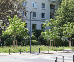 Warszawa dawniej i dziś. Kiedyś stał tu luksusowy gmach i tętniło życie. Niezwykłe losy kamienicy przy Nowolipiu 64