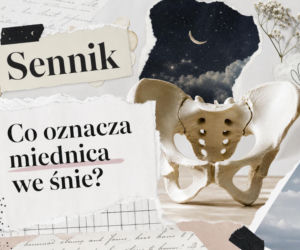 Miednica w senniku: co oznacza we śnie. Porządki, dom i potrzeby ciała