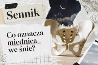 Miednica w senniku: co oznacza we śnie. Porządki, dom i potrzeby ciała