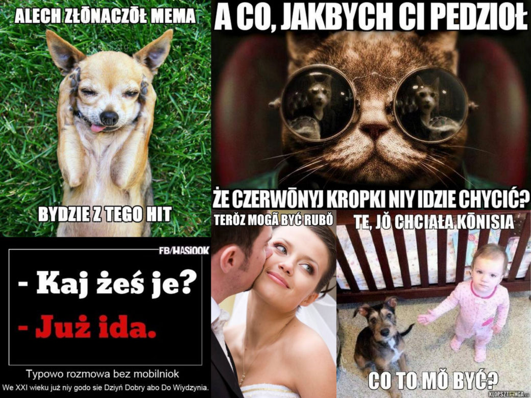 Memy w śląskiej gwarze nie mają sobie równych