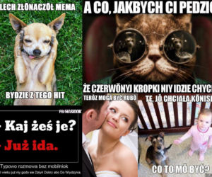 Memy w śląskiej gwarze nie mają sobie równych