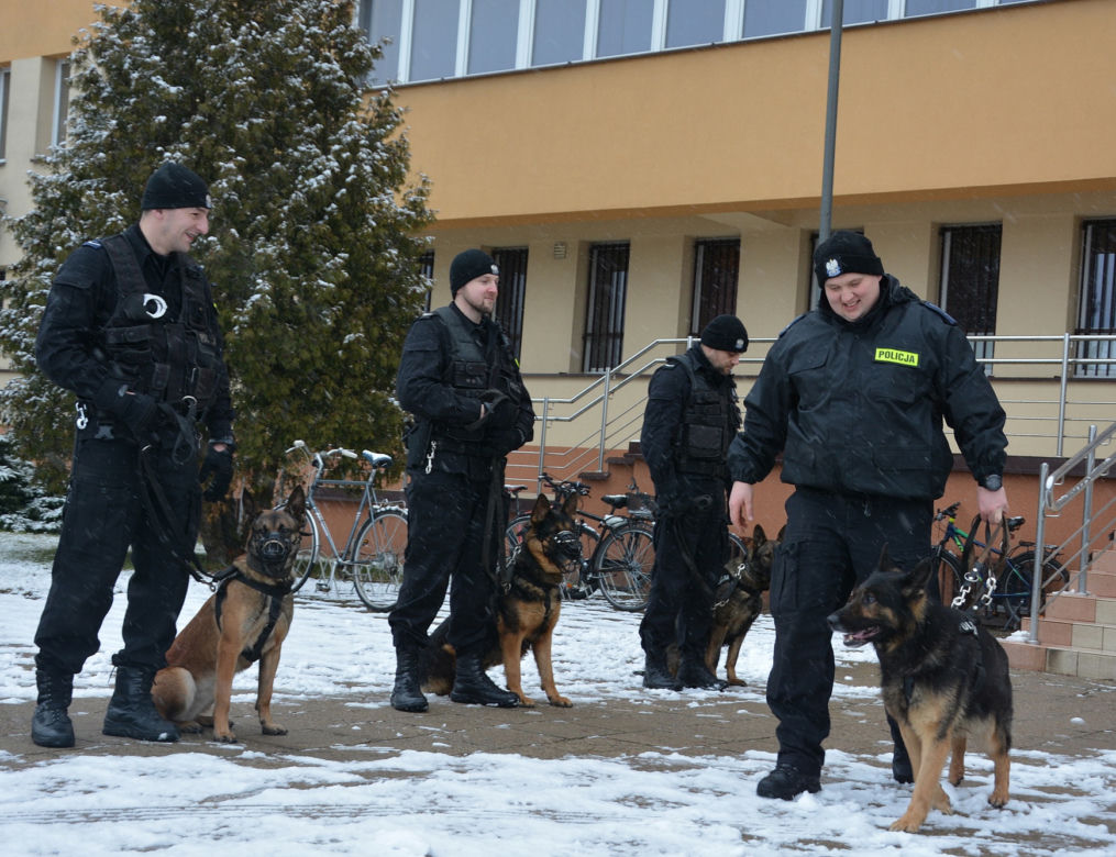 Tazer, policjant na 4 łapach, przeszedł na emeryturę
