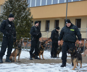 Tazer, policjant na 4 łapach, przeszedł na emeryturę