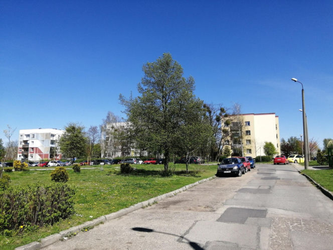 To największe miasto w Polsce, którym nie rządzi prezydent. Znajduje się na Śląsku