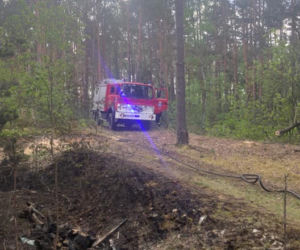 Walczyli z pożarem dwa dni! W akcji gaśniczej strażakom pomagali mieszkańcy!