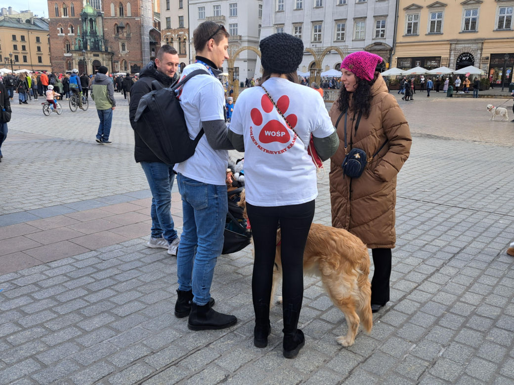 33. Finał WOŚP z grupą krakowskich Golden Retrieverów
