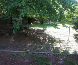 Krakowskie ZOO wznowiło działanie i zaprasza do odwiedzin