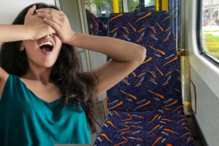 Plamki, kreski i... plemniki. Te brzydkie wzory w autobusach mają ukryte zadanie