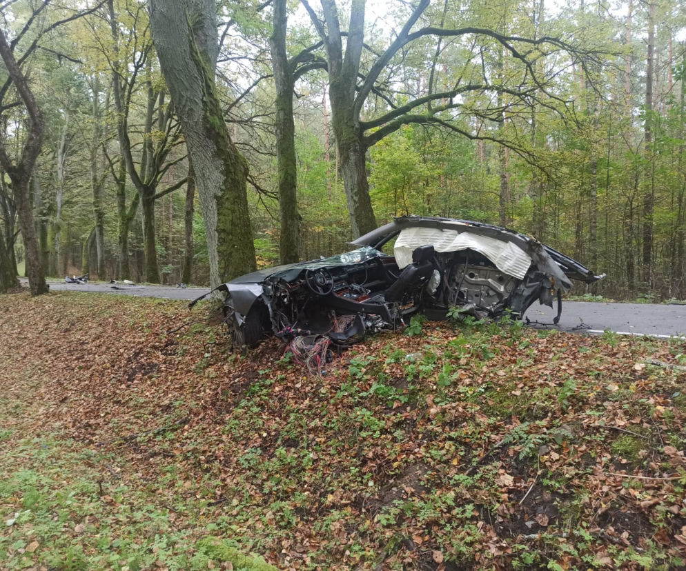 Jechał za szybko i przypłacił to życiem! Policja ujawnia: Licznik zatrzymał się na 180 km/h 