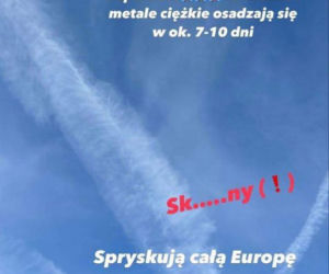 Edytę Górniak truje dym z samolotu