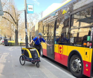 Tak Damięcka dba o psa