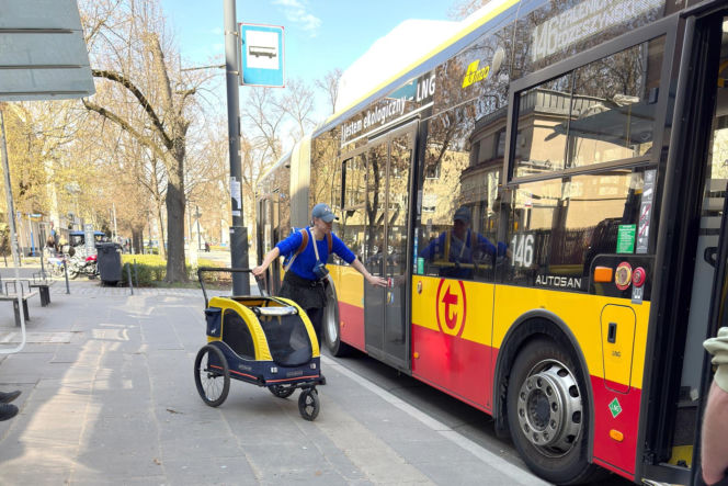 Tak Damięcka dba o psa