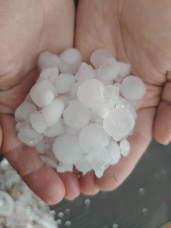 Zniszczone plantacje warzyw i owoców na Dolnym Śląsku. "To był prawdziwy armagedon" 