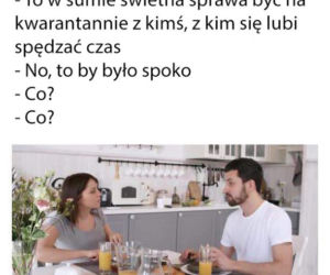 Memy o kwarantannie